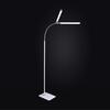 Daylight Duo Pro Floor Lamp