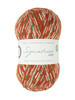 West Yorkshire Spinners Signature 4 Ply - Christmas - Sock Yarn