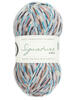 West Yorkshire Spinners Signature 4ply 100g Sock Yarn - Country Birds