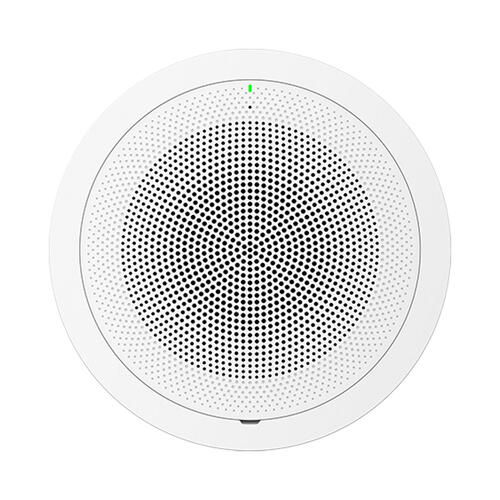 SIP Intercom Speaker, 30 Watt, No Mic