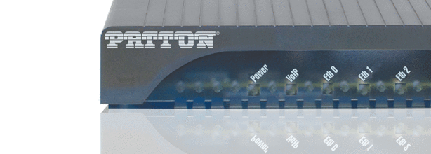 Session Border Controller and Router, 4 SIP Sessions, 2 x Ethernet