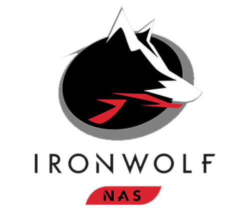 IronWolf 14TB Hard Disk Drive for NAS, 7200 RPM