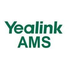 Yealink 510108000213