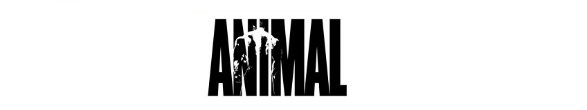 Animal - Universal Nutrition - M Stak