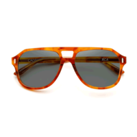 Caddis Eye Appliances RCA