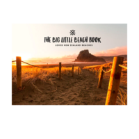 The Big Little Beach Book
